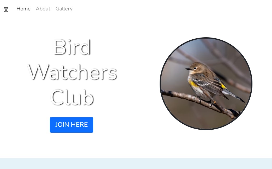 Bird Watchers Club Website Image